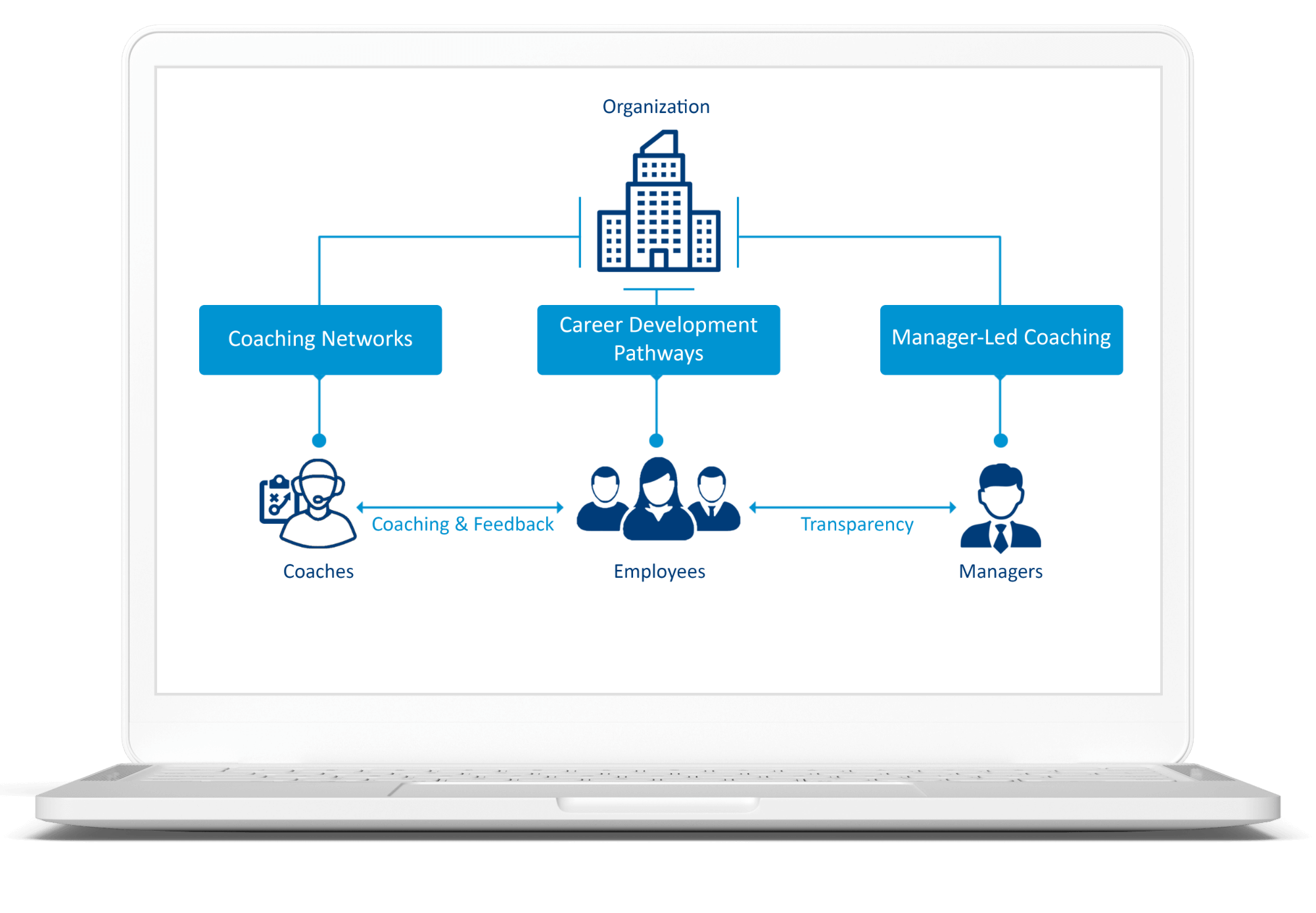 Drive and Scale Coaching with Structure